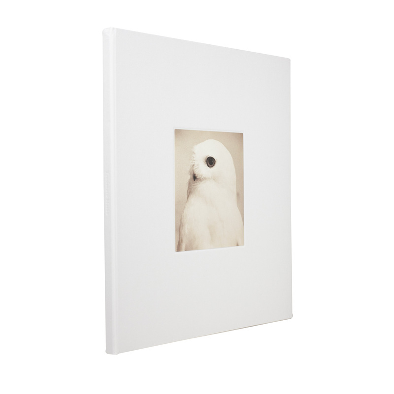 Yamamoto Masao - 山本昌男 | shashasha 写々者 - 写真集とアートブック