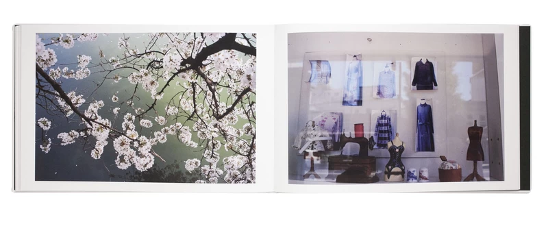 Windows of the World - 吉野英理香 | shashasha 写々者 - 写真集と
