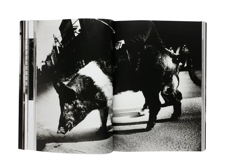 Memories of Light - Daido MORIYAMA | shashasha - Photography & art