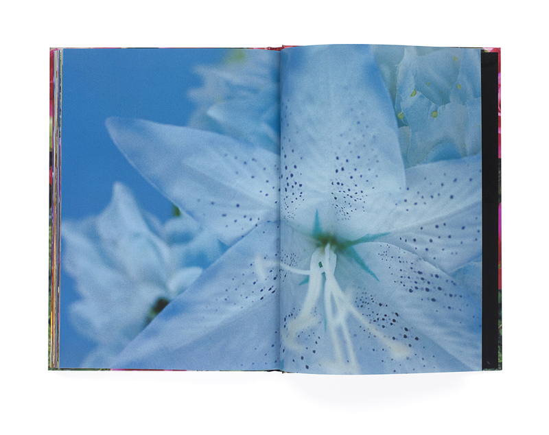 永遠の花 - 蜷川実花 | shashasha 写々者 - 写真集とアートブック