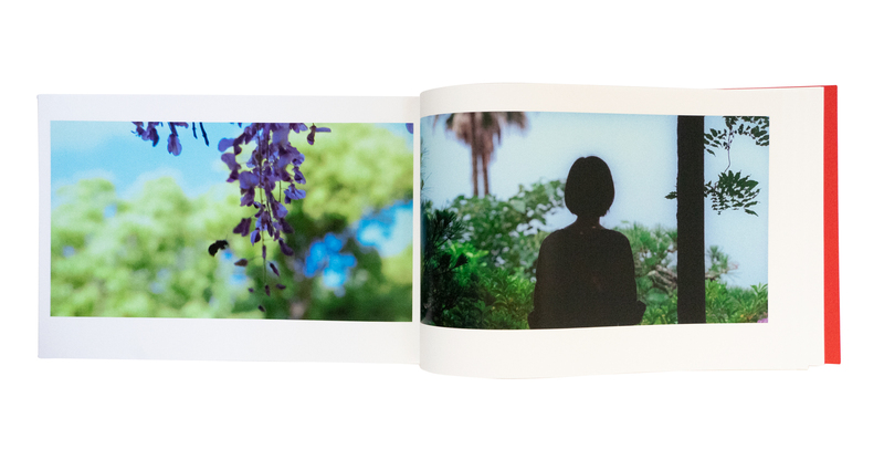 椿の庭 - 上田義彦 | shashasha 写々者 - 写真集とアートブック