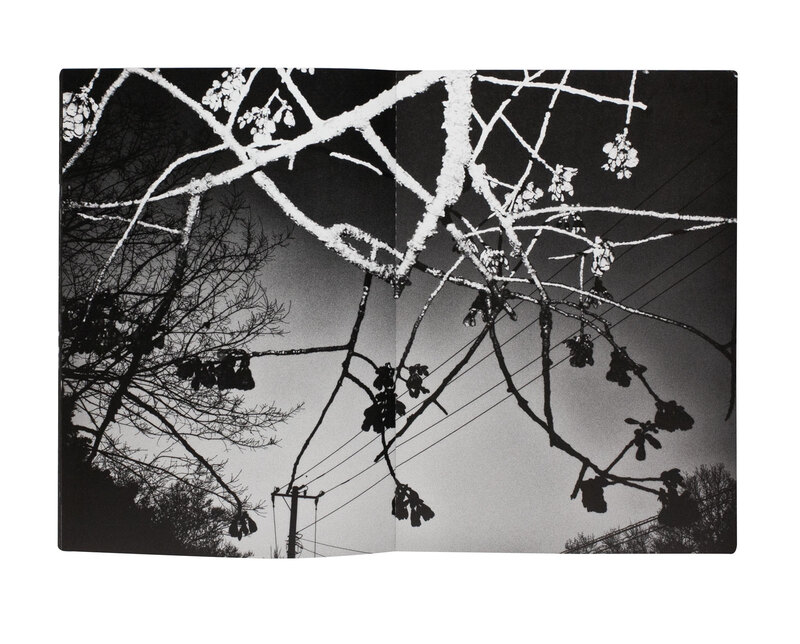 Tokyo Street Vol. 6, 5, 2 - Tatsuo SUZUKI | shashasha