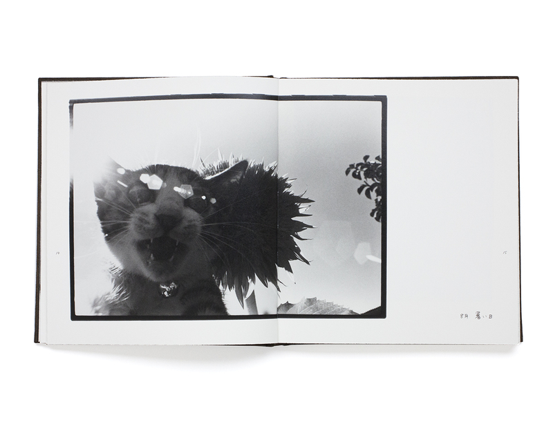 Afterword - Masahisa FUKASE | shashasha - Photography & art in books