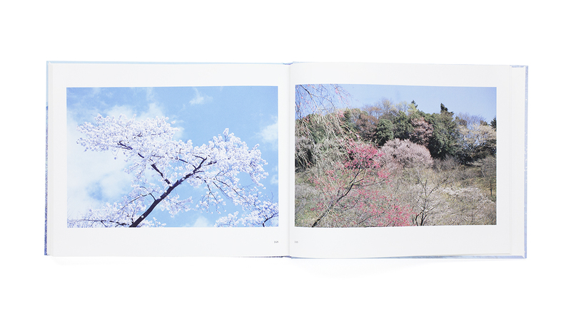 チェリーブロッサムズ - 大森克己 | shashasha 写々者 - 写真集