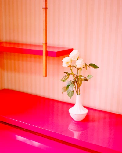 Kazuyoshi USUI - 薄井一議 | shashasha - Photography & art in books